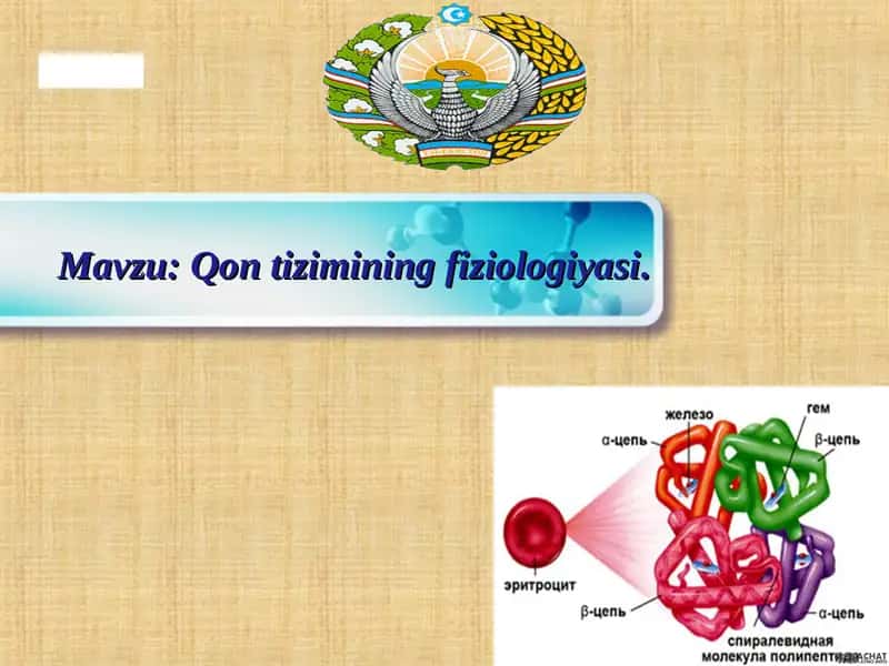 Qon tizimining fiziologiyasi