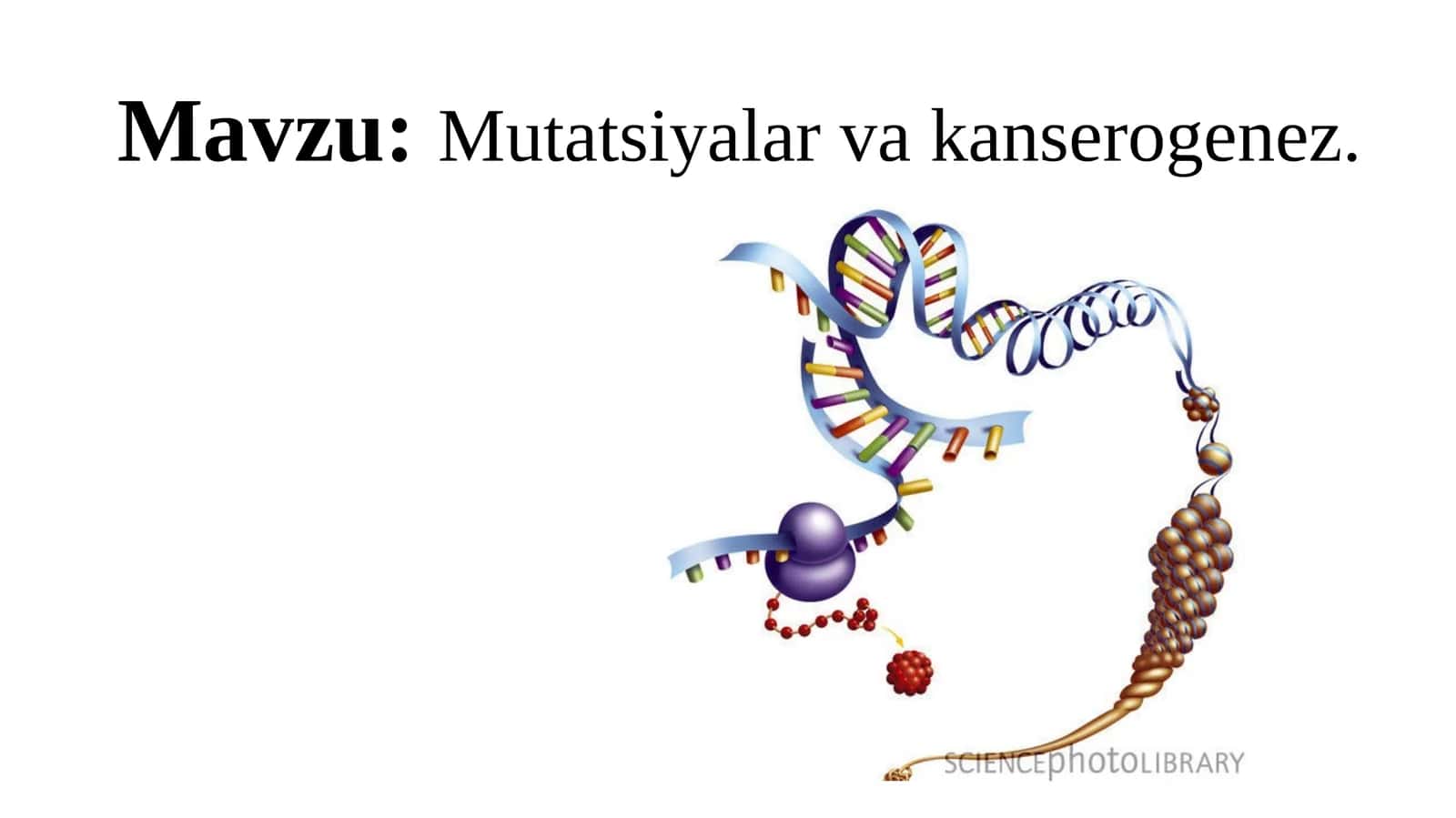 Mutatsiyalarva kanserogenez