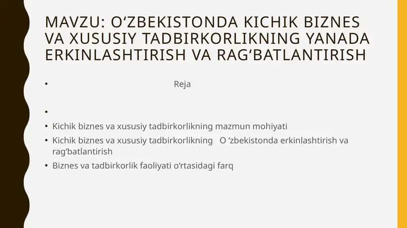 Kichik biznes va xususiy tadbirkorlik