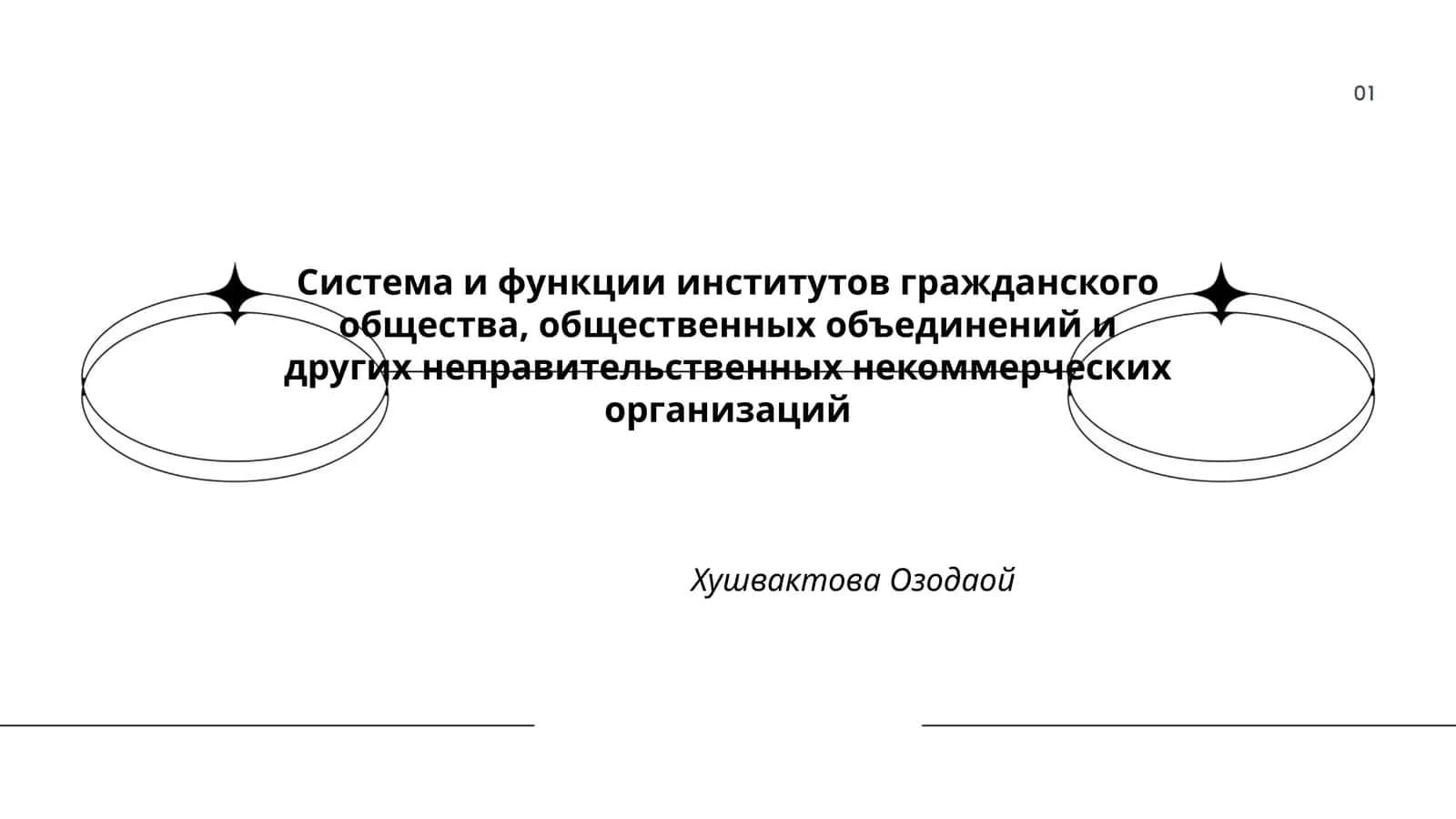 Система и функции институтов гражданского общества, общественных объединений и других неправительственных некоммерческих организаций