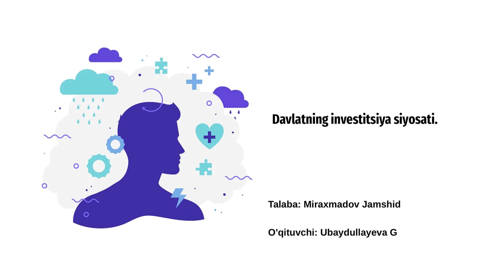 Davlatning investitsiya siyosati