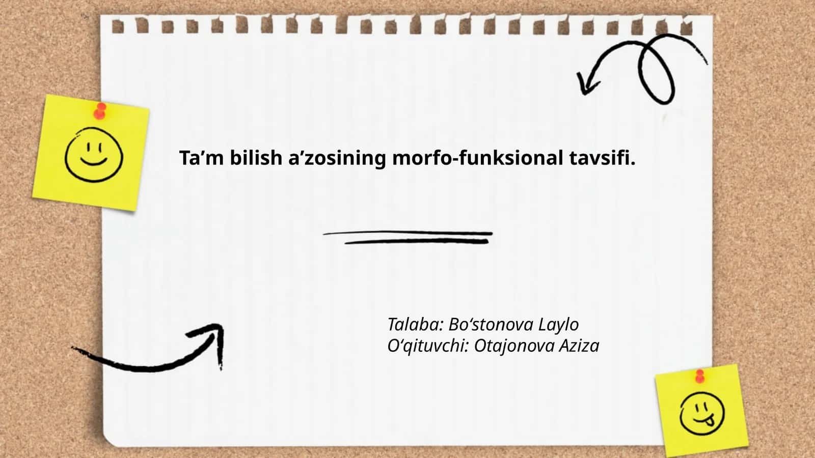 Taʼm bilish aʼzosining morfo-funksional tavsifi