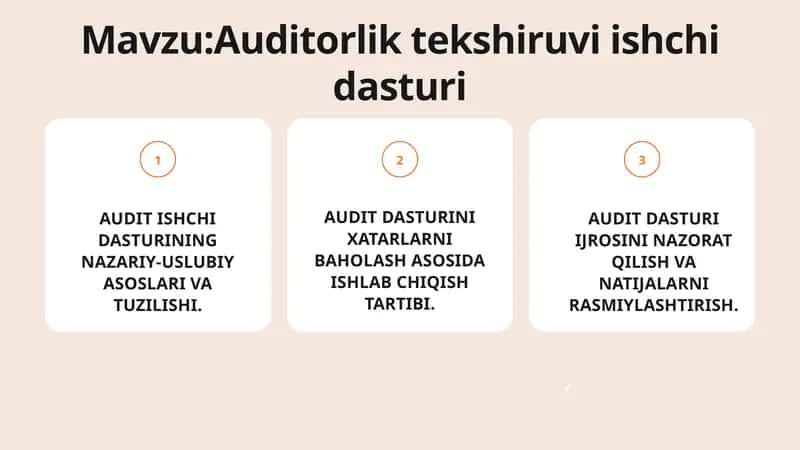 Auditorlik tekshiruvi ishchi dasturi