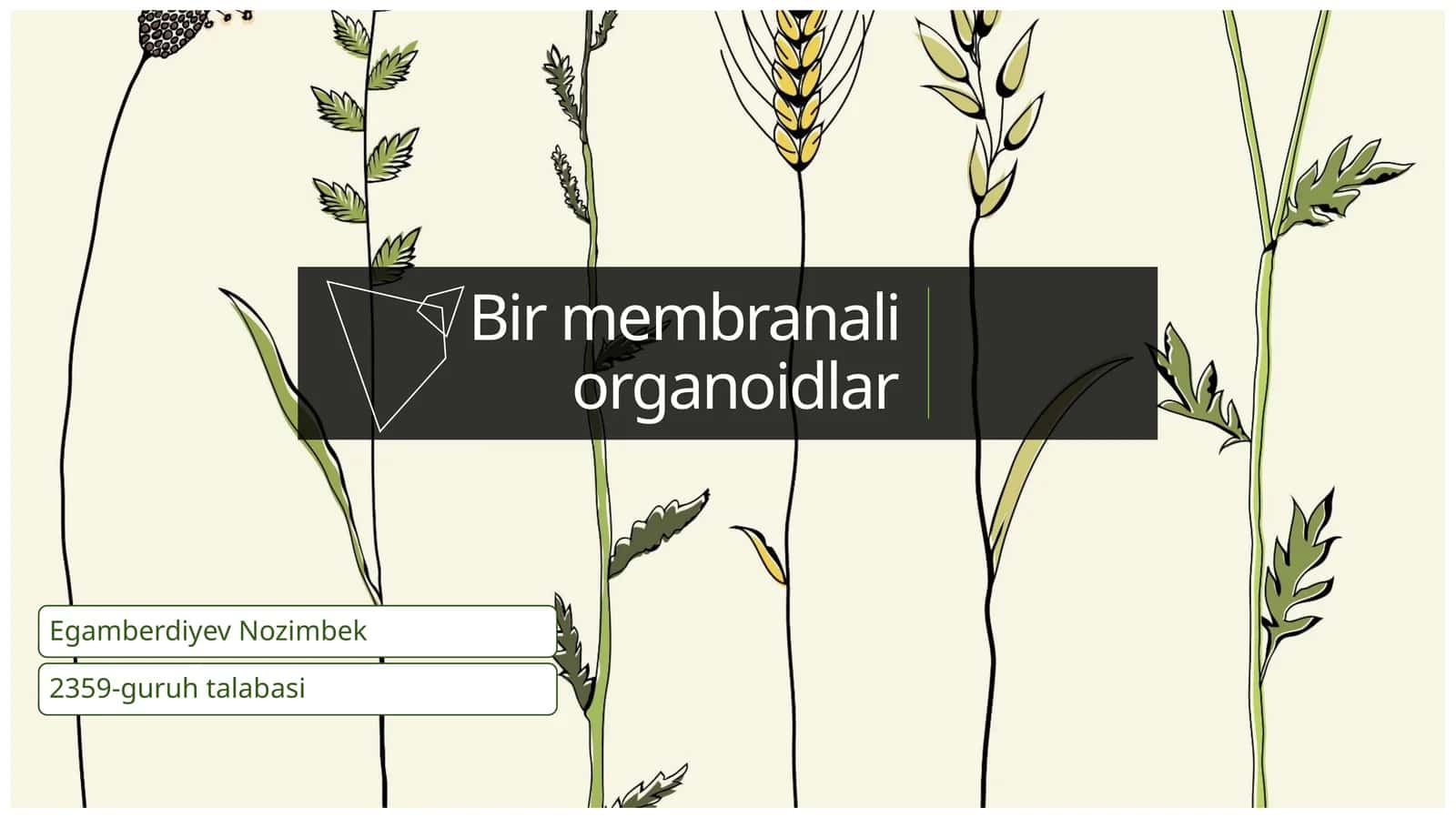 Bir membranali organoidlar