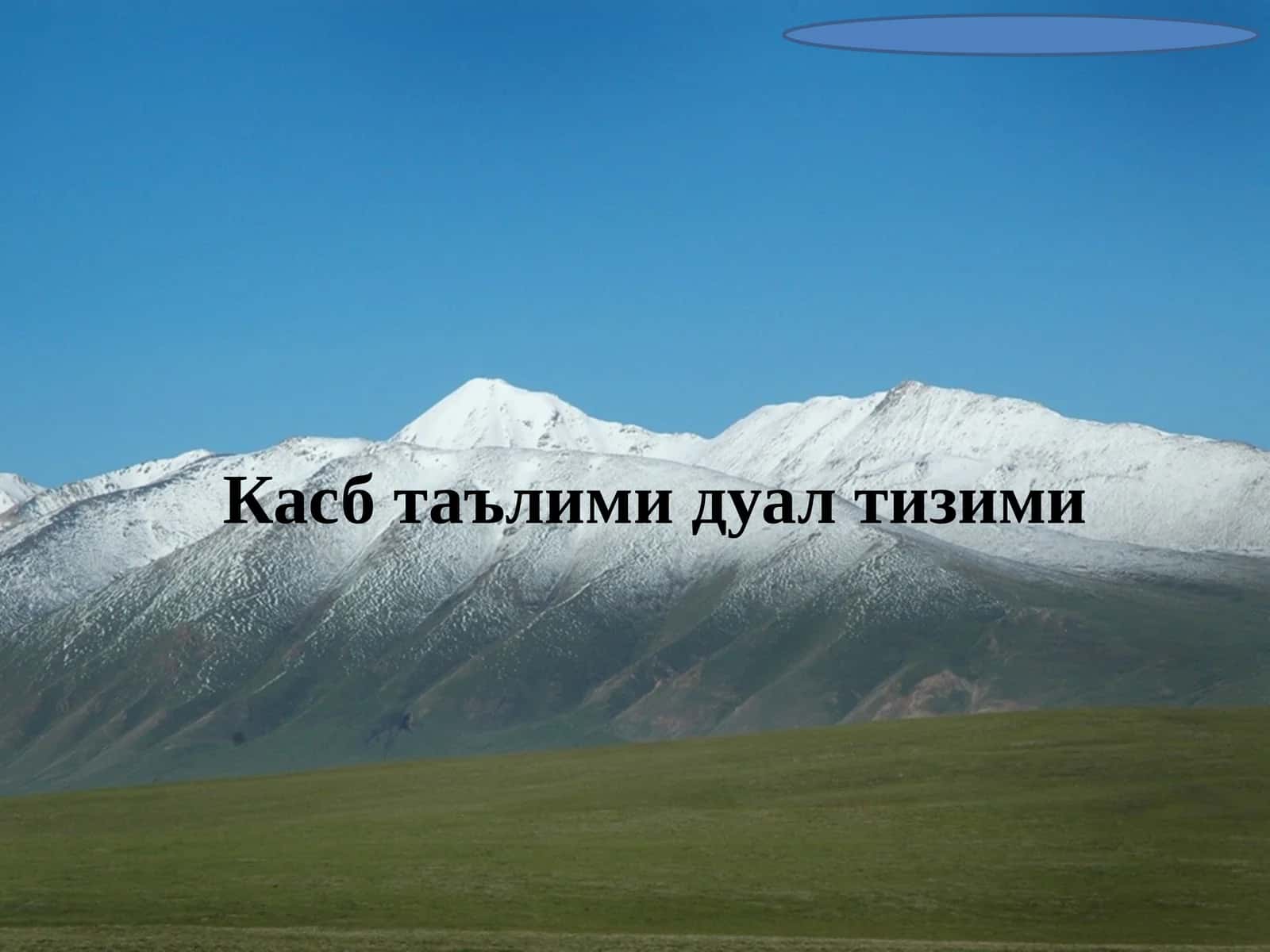 Касб таълими дуал тизими