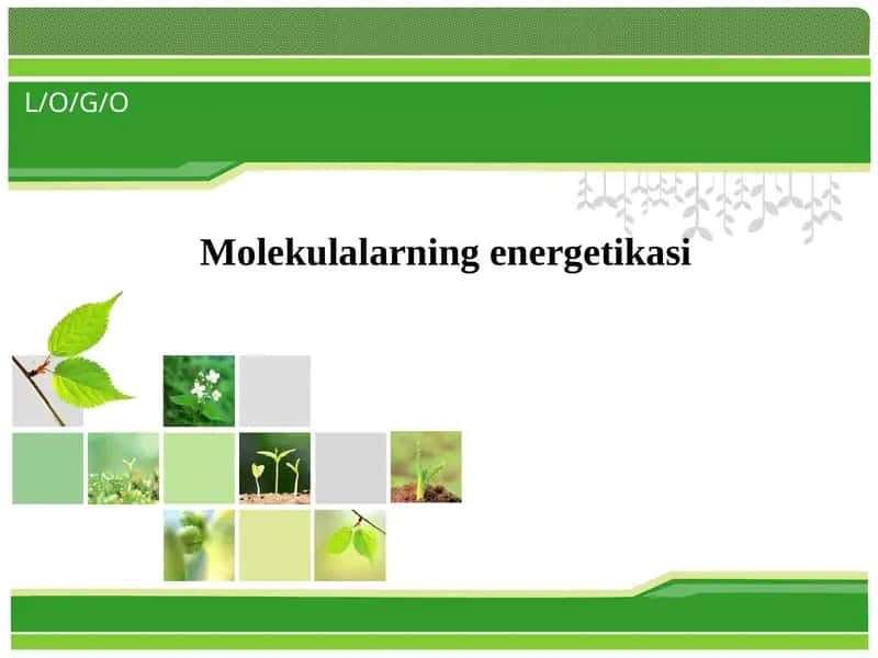 Molеkulalarning enеrgеtikasi