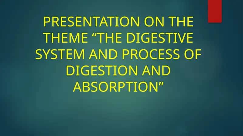 The Digestive System and Process of Digestion and Absorption
