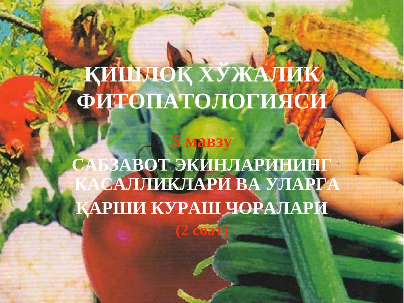 ҚИШЛОҚ ХЎЖАЛИК ФИТОПАТОЛОГИЯСИ