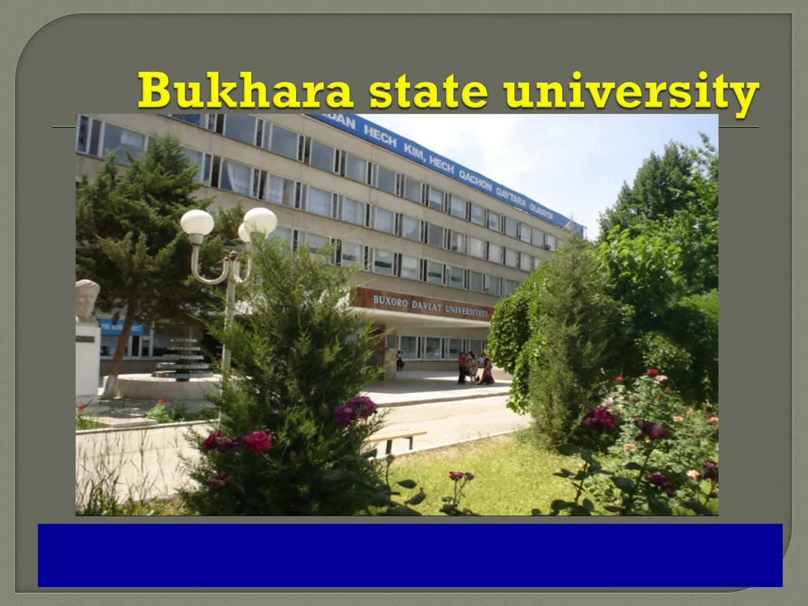 Bukhara state university