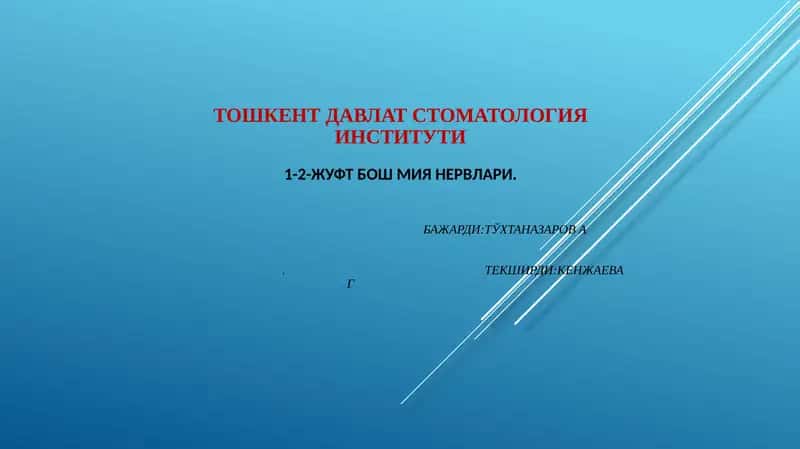 Ижуфт, ҳидлов нерви (nn. olfactorius)