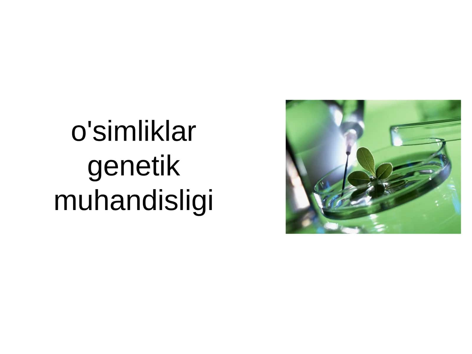 O'simliklar genetik muhandisligi