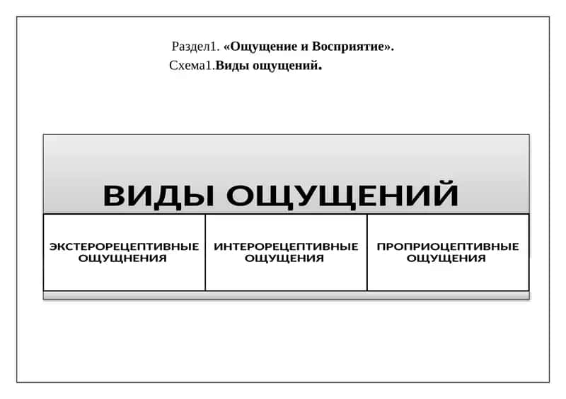 ВИДЫ ОЩУЩЕНИЙ