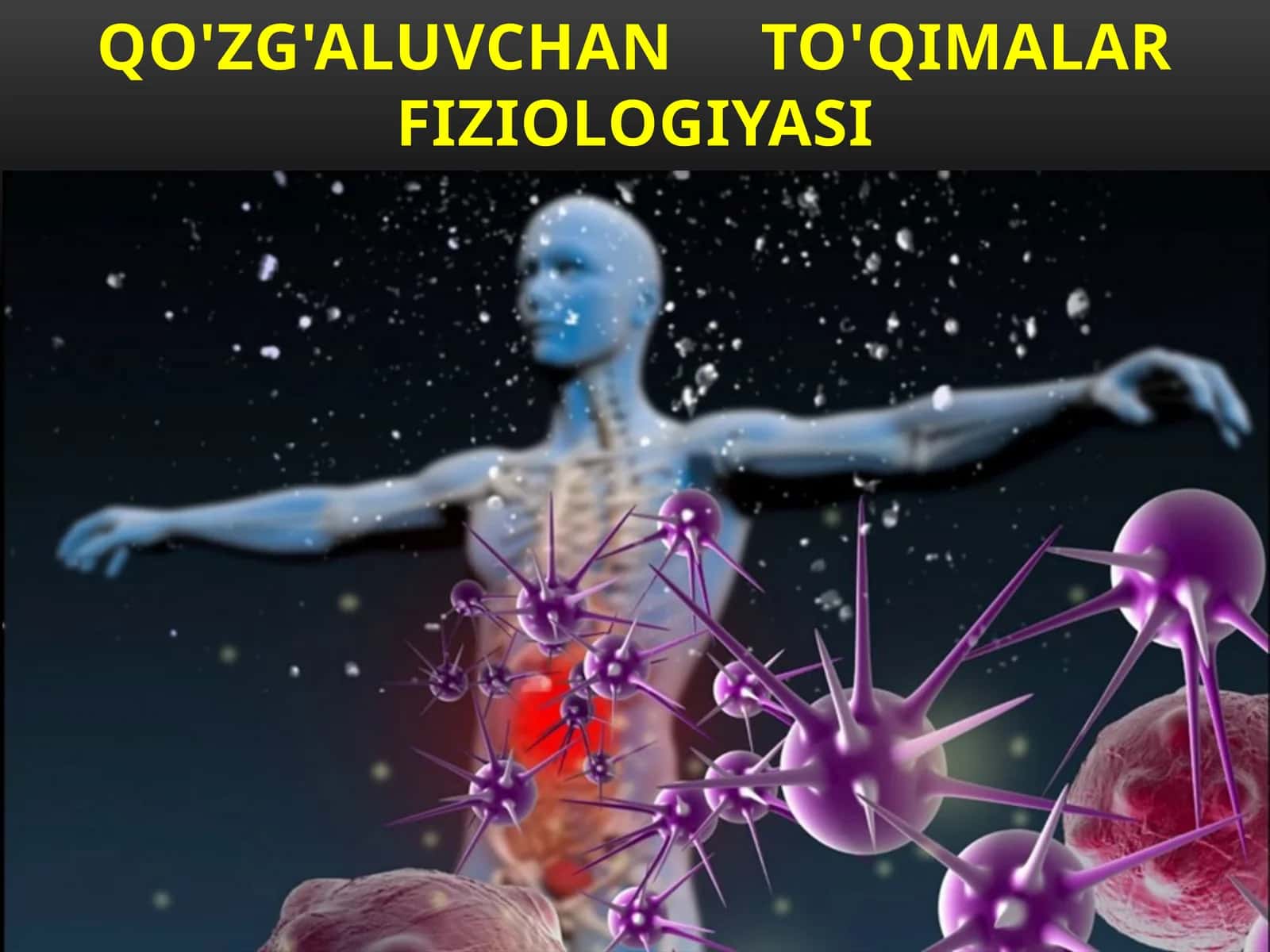 Qo'zg'aluvchanto'qimalar fiziologiyasi