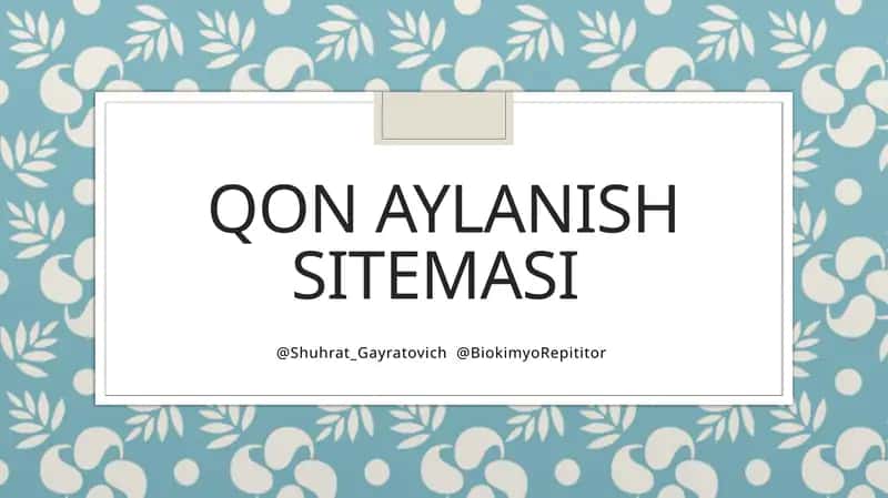 Qon aylanish sitemasi