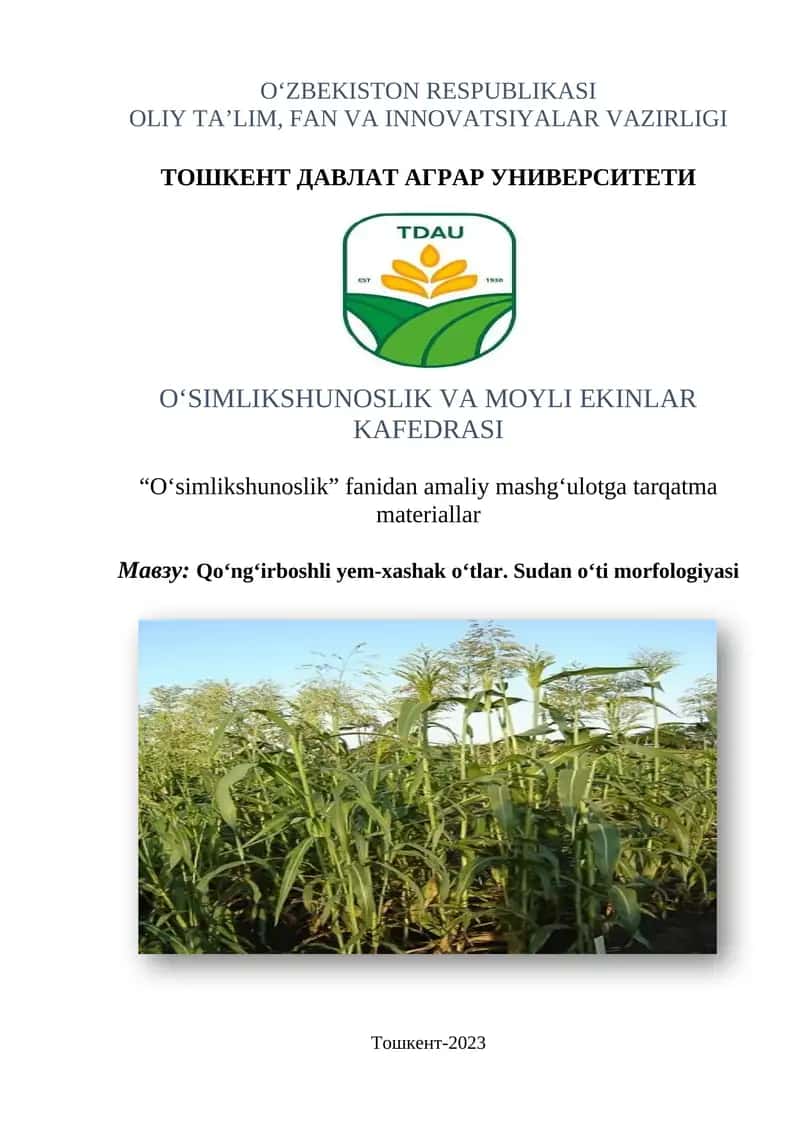 Qo‘ng‘irboshli o‘tlarning morfologiyasi