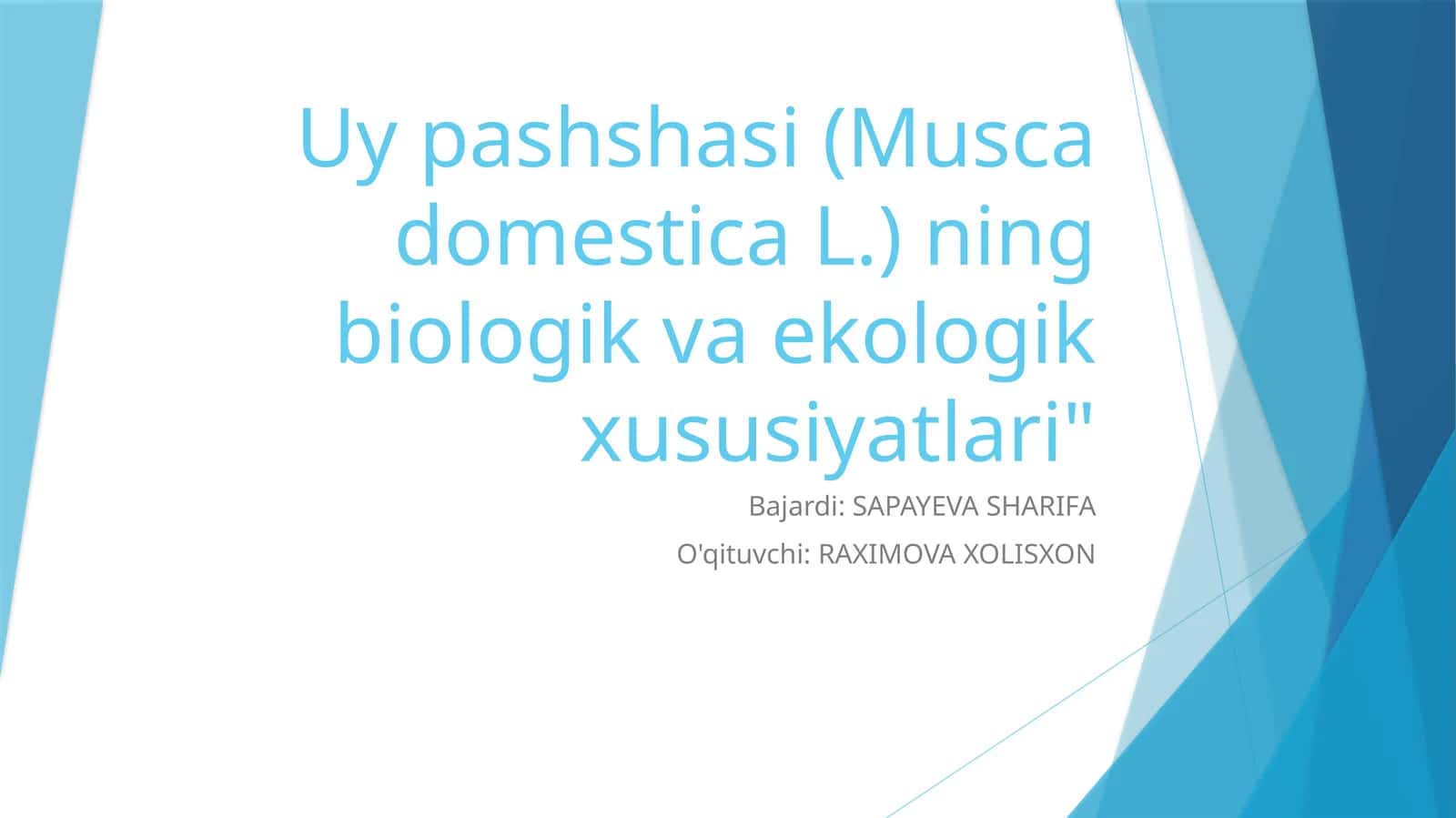Uy pashshasi (Musca domestica L.) ning biologik va ekologik xususiyatlari
