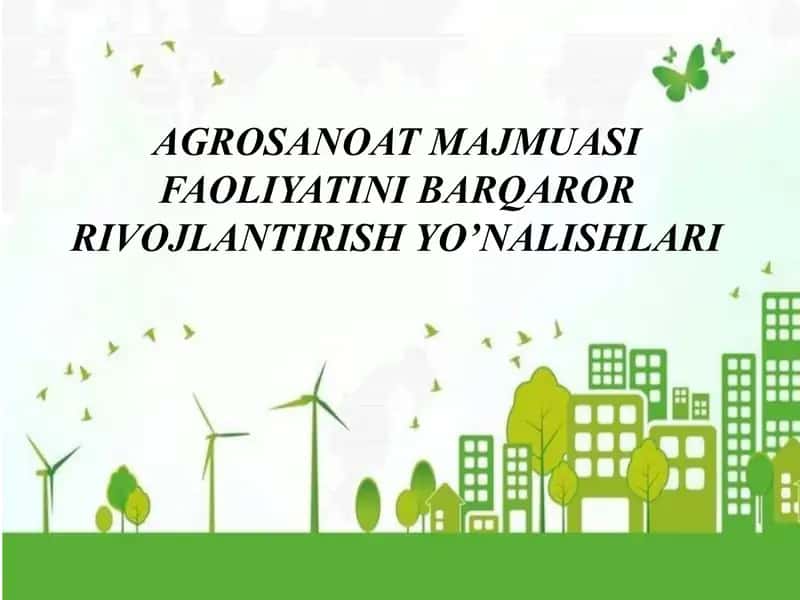Agrosanoat majmuasi faoliyatini barqaror rivojlantirish yo’nalishlari