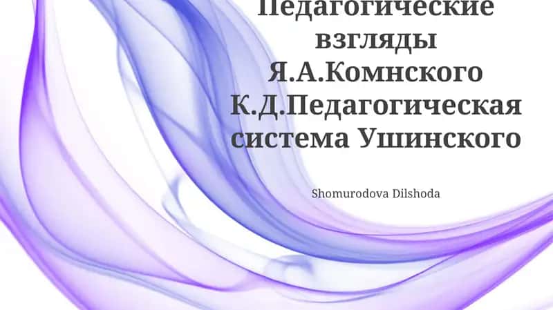 Педагогические взгляды Я.А. Коменского