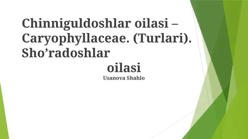 Chinniguldoshlar oilasi – Caryophyllaceae
