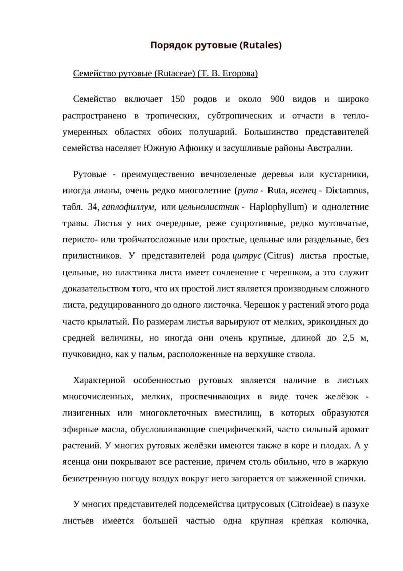 Семейство рутовые (Rutaceae)