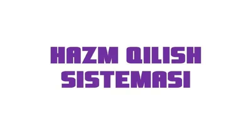 OVQAT HAZIM QILISH ORGANLARI TUZILISHI
