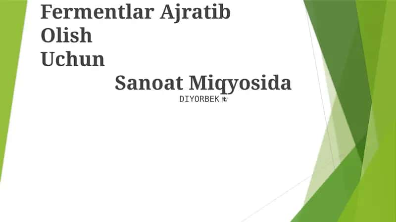 Fermentlar Ajratib Olish Uchun Sanoat Miqyosida