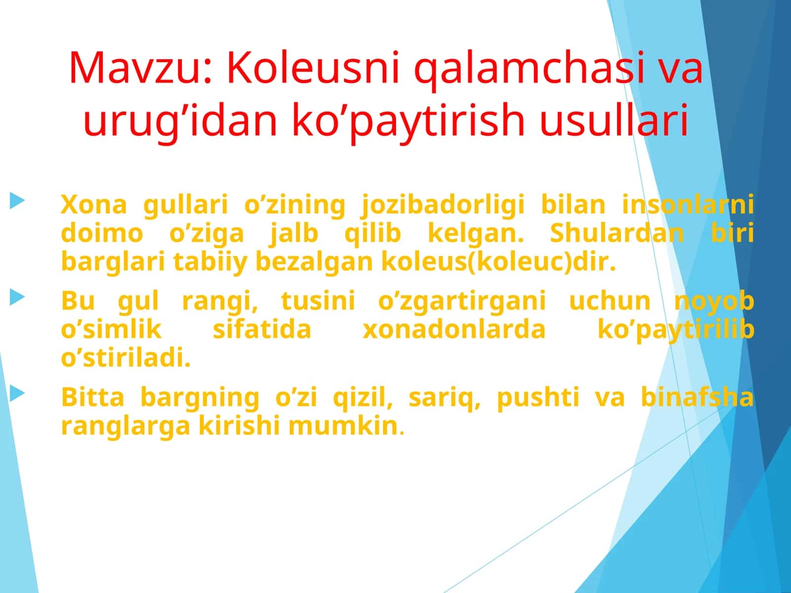 Koleusni qalamchasi va urug’idan ko’paytirish usullari