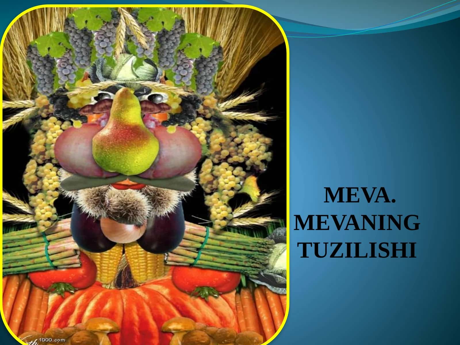 MEVA. MEVANING TUZILISHI