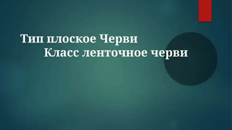 Морфология и физиология ленточных червей