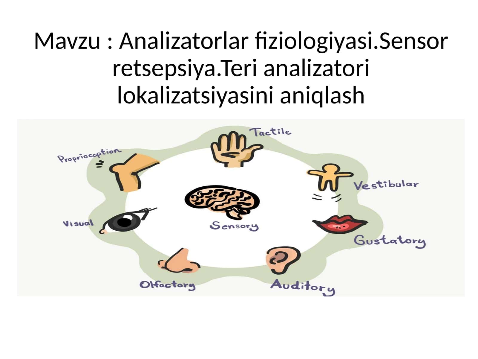 Analizatorlar fiziologiyasi. Sensor retsepsiya. Teri analizatorining lokalizatsiyasini aniqlash