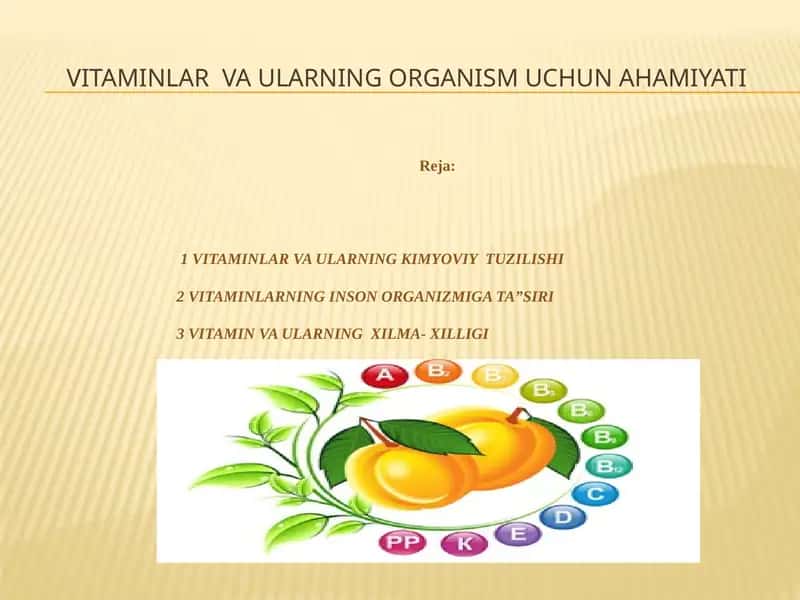 Vitaminlar va ularning organism uchun ahamiyati