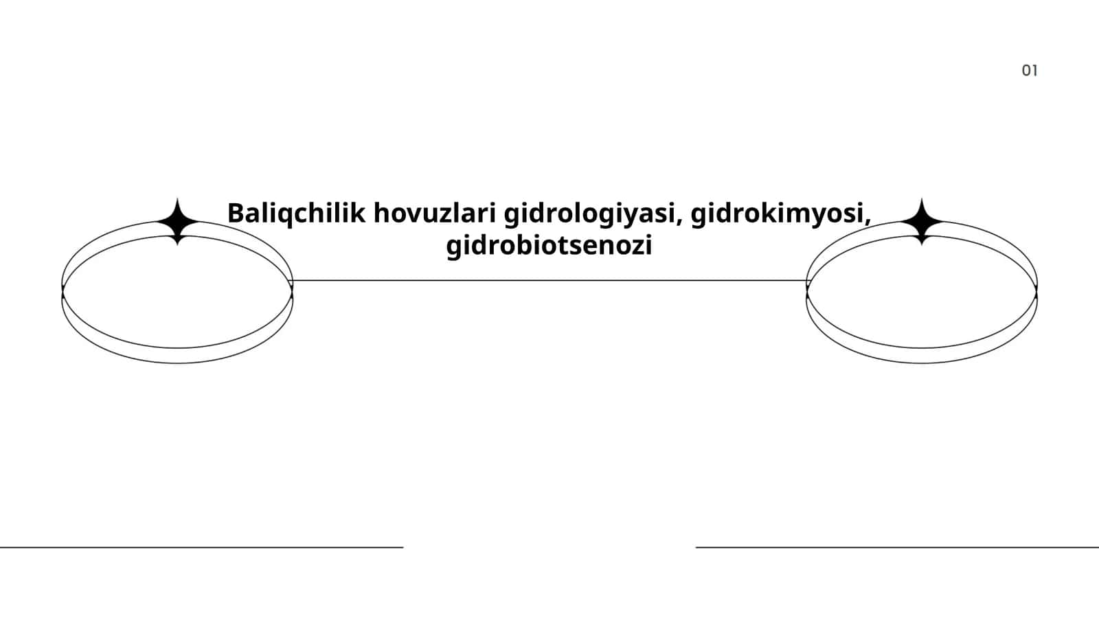 Baliqchilik hovuzlari gidrologiyasi, gidrokimyosi, gidrobiotsenozi