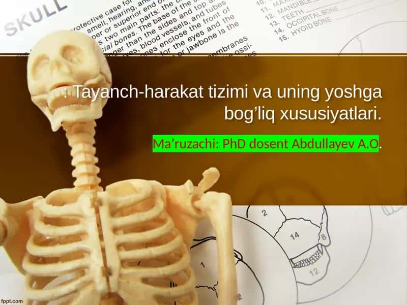 Tayanch-harakat tizimi va uning yoshga bog’liq xususiyatlari