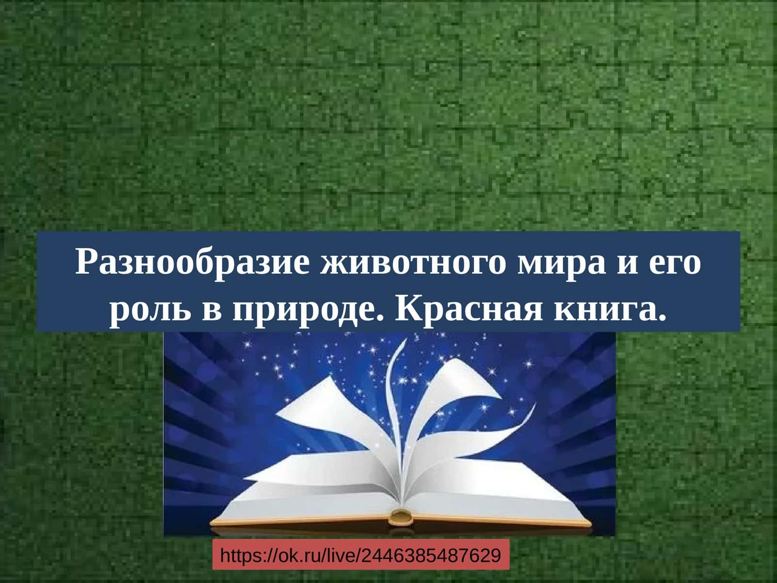 Разнообразие животного мира и его роль в природе. Красная книга