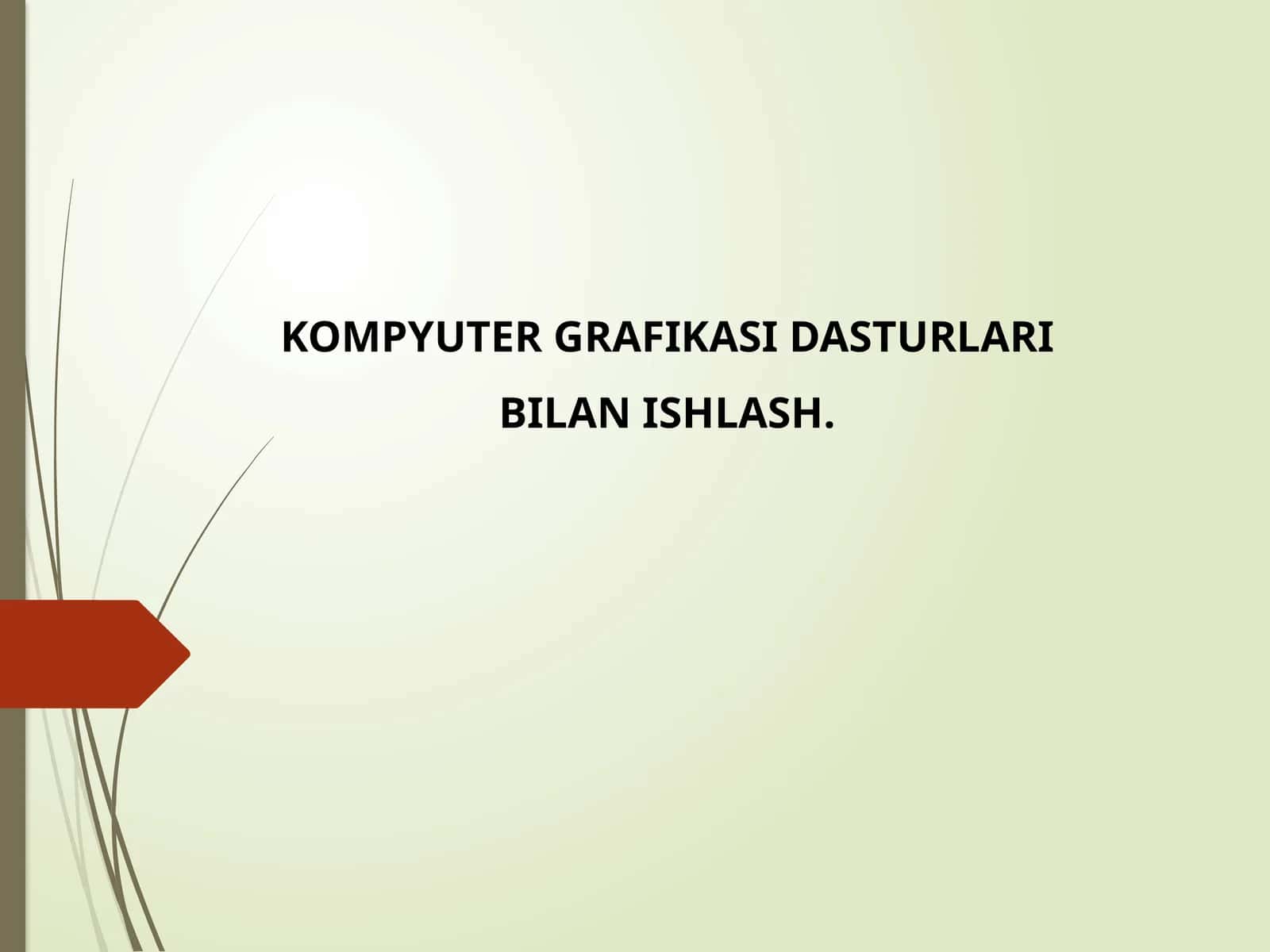 KOMPYUTER GRAFIKASI DASTURLARI BILAN ISHLASH