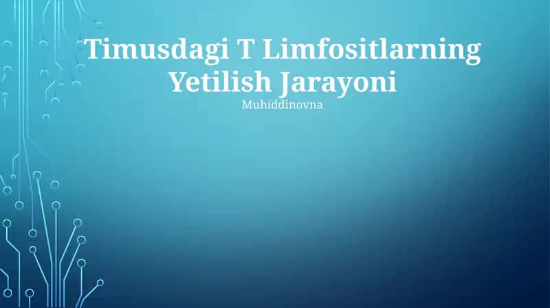 Timusdagi T Limfositlarning Yetilish Jarayoni