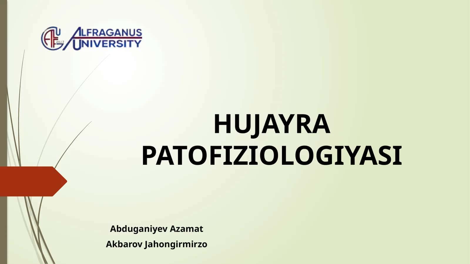 HUJAYRA PATOFIZIOLOGIYASI