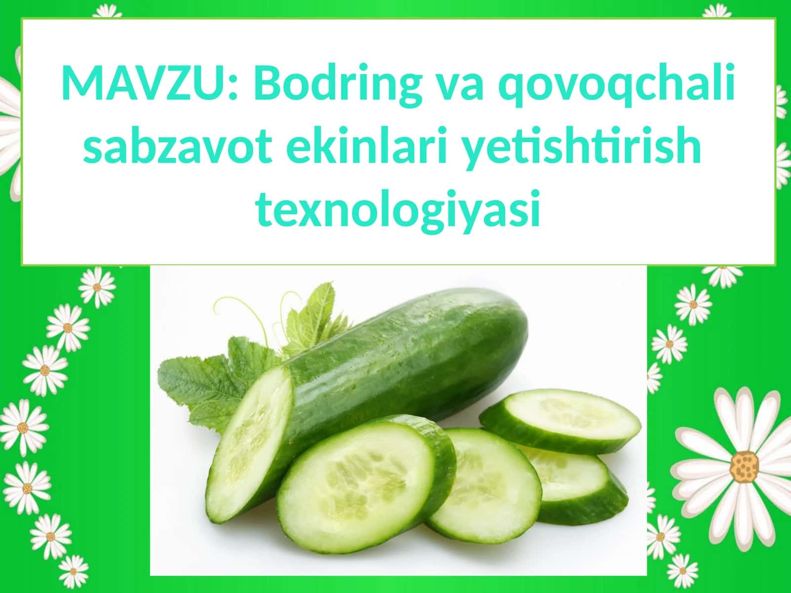 Bodring va qovoqchali sabzavot ekinlari yetishtirish texnologiyasi