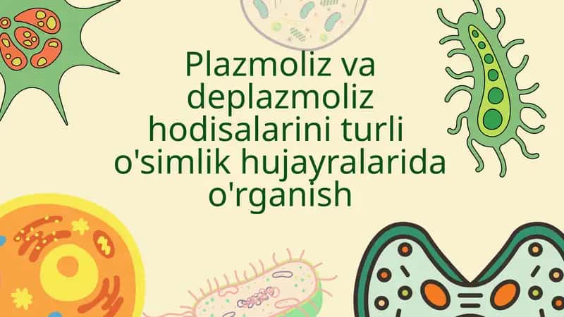 Plazmoliz va deplazmoliz hodisasi.