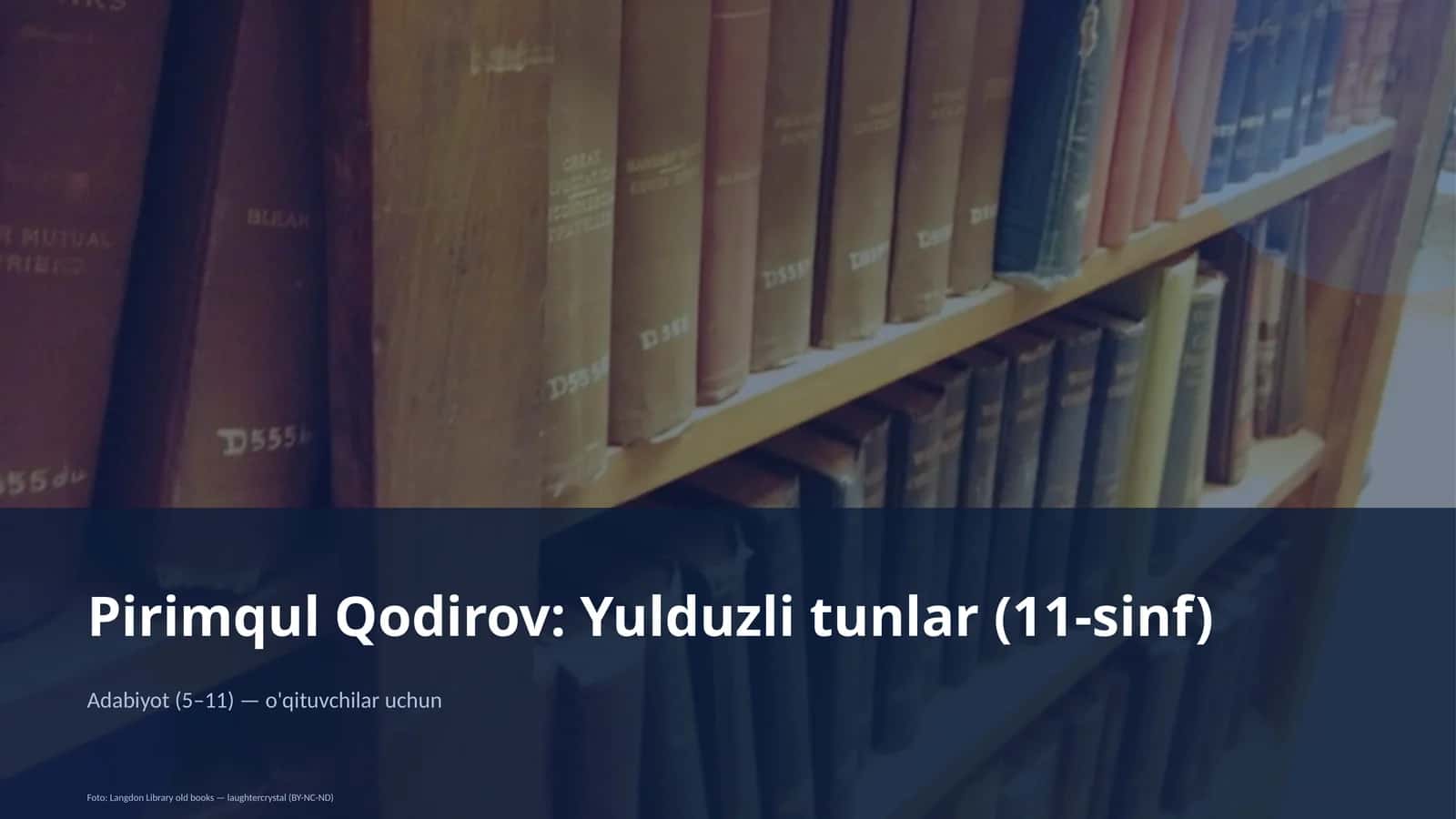 Yulduzli tunlar (11-sinf)