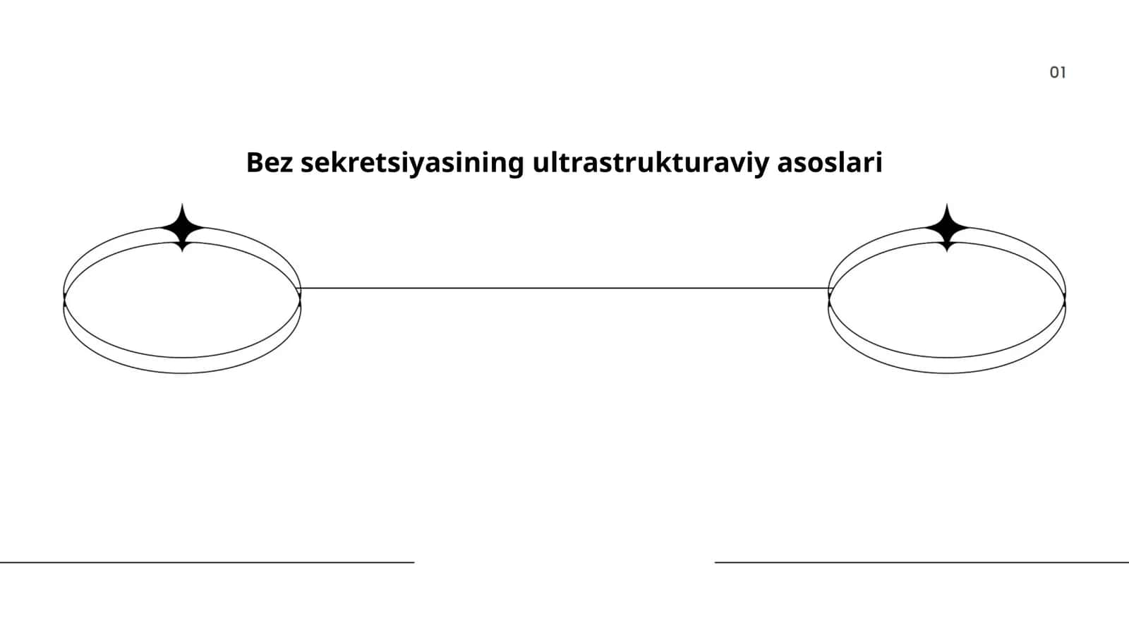 Bez sekretsiyasining ultrastrukturaviy asoslari