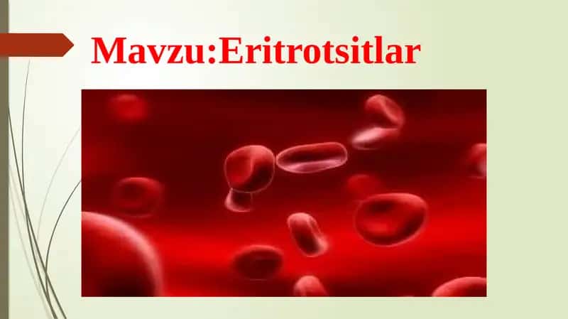 Eritrotsitlar