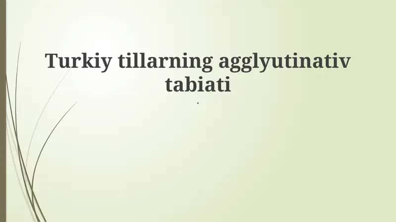Turkiy Tillarning Agglutinativ Tabiati