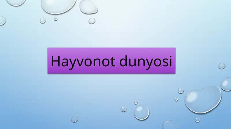 Hayvonotdunyosi