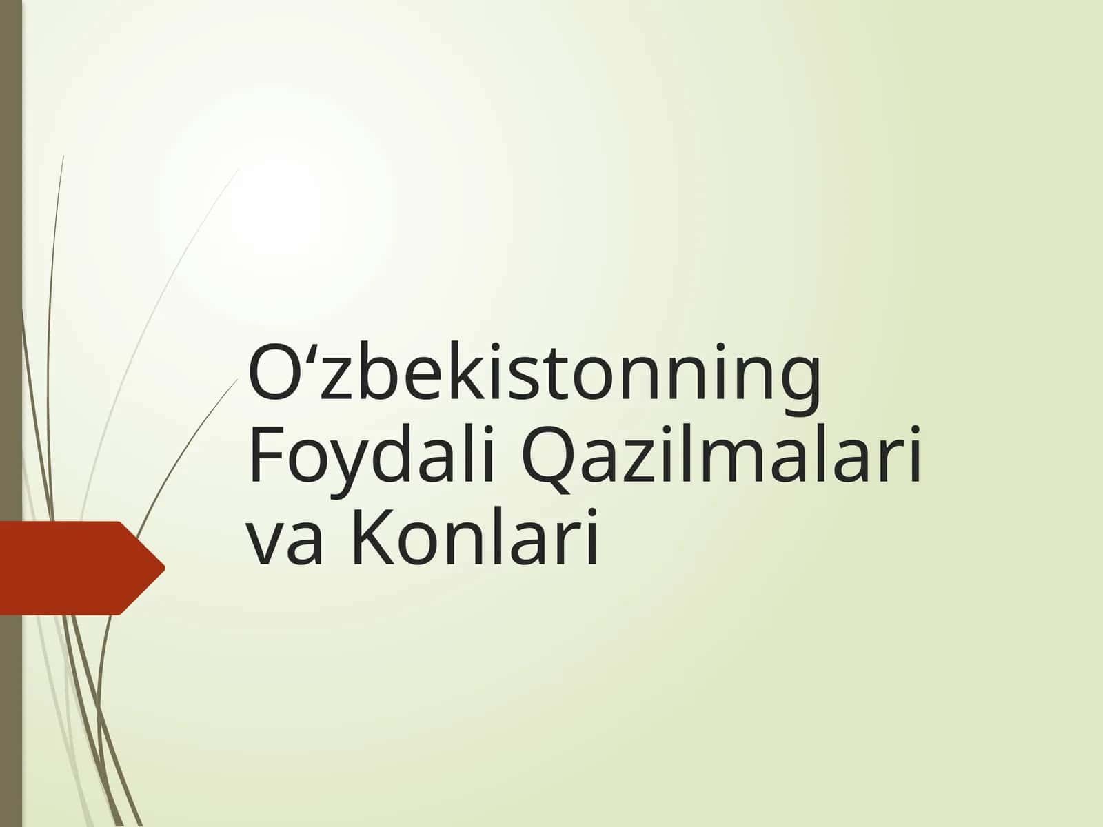 O‘zbekistonning foydali qazilmalari va konlari