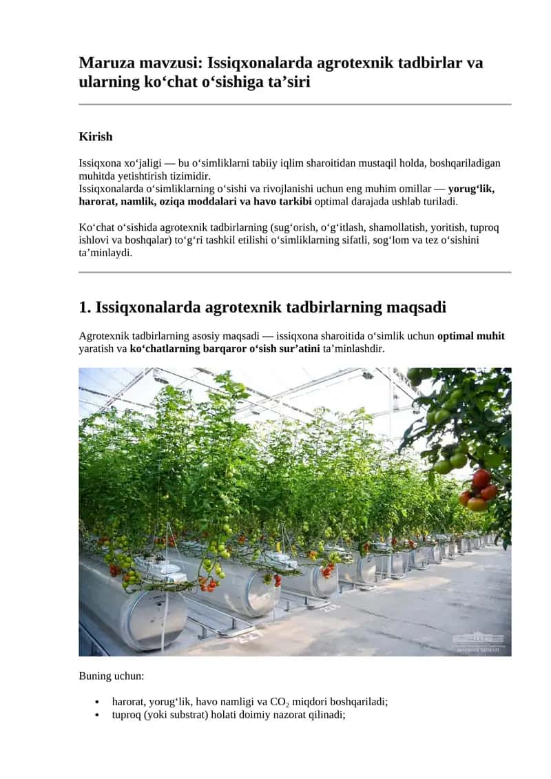 Issiqxonalarda agrotexnik tadbirlar va ularning ko‘chat o‘sishiga ta’siri