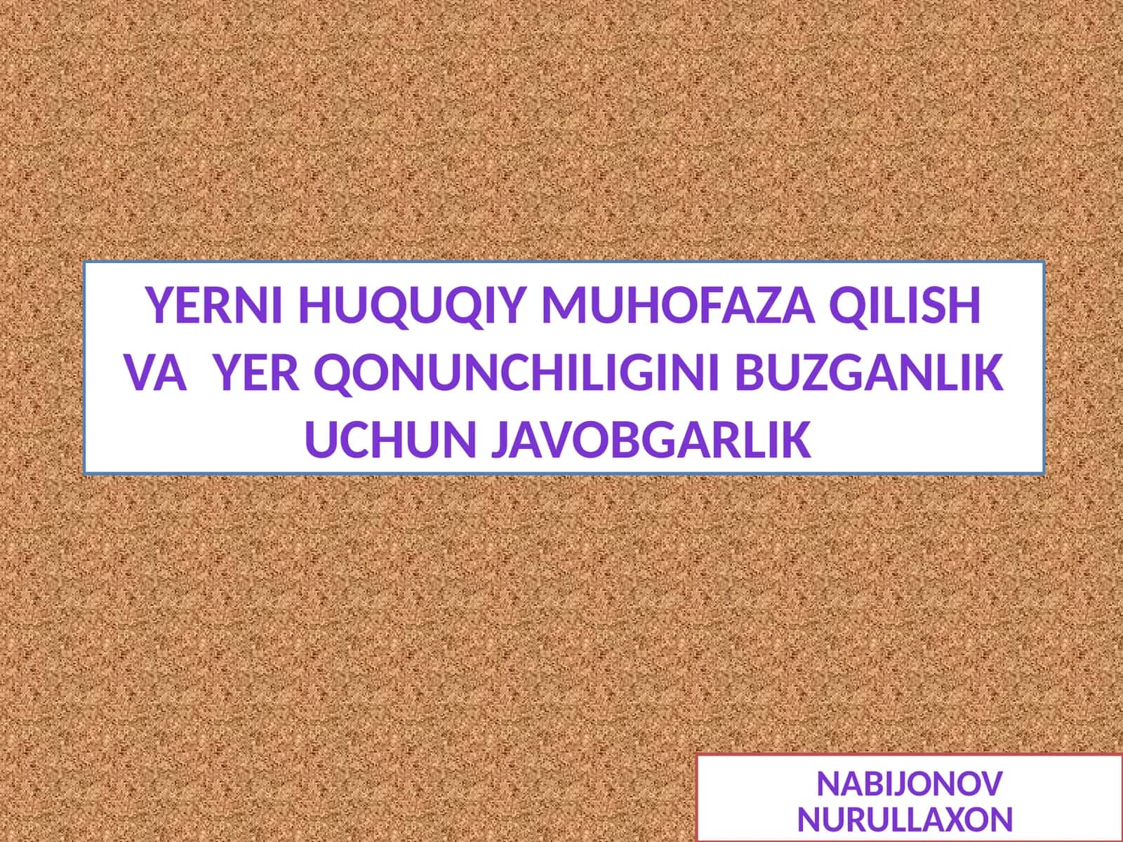 YERNI HUQUQIY MUHOFAZA QILISH VA YER QONUNCHILIGINI BUZGANLIK UCHUN JAVOBGARLIK