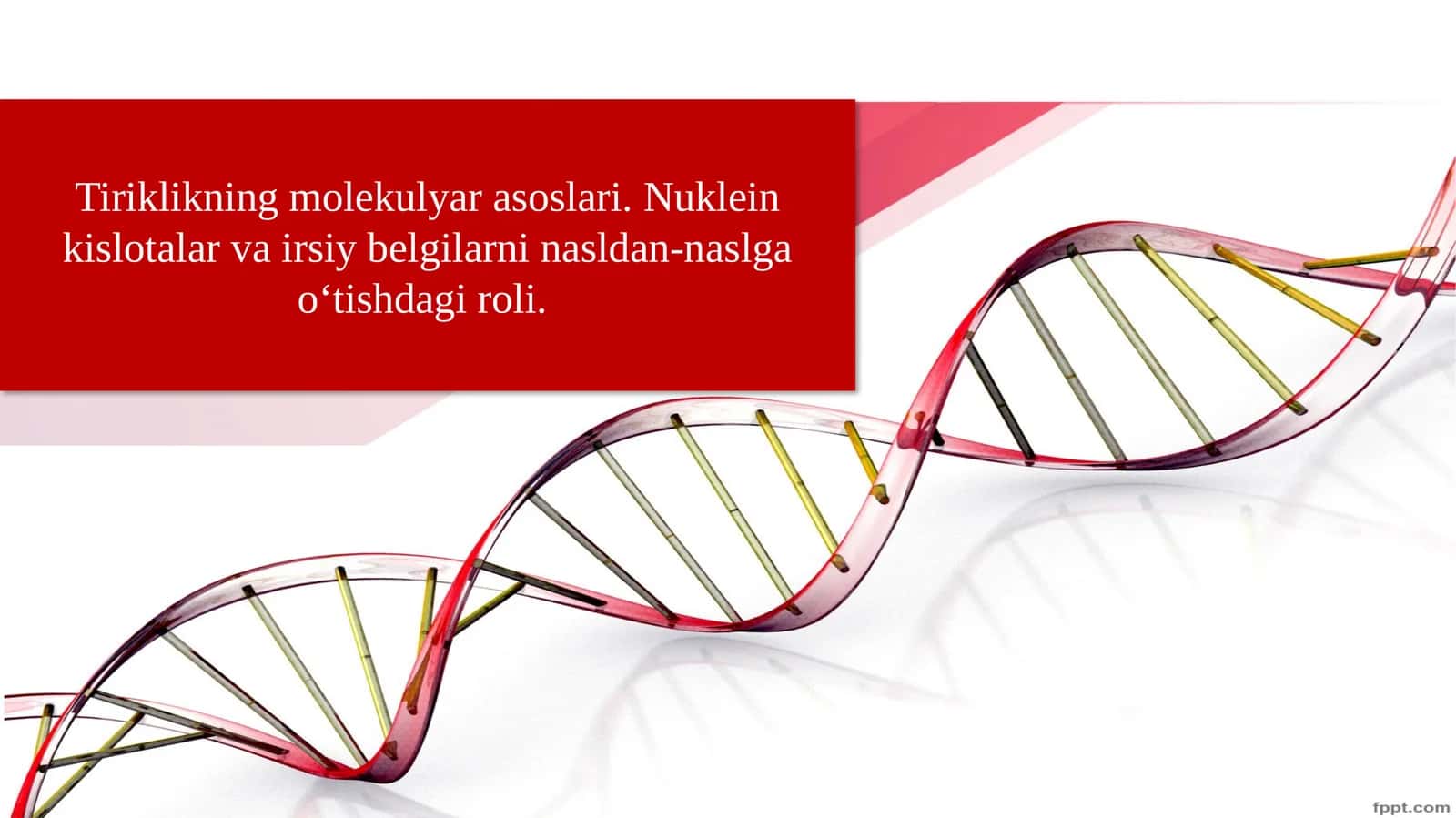 Nuklein kislotalar va irsiy belgilarni nasldan-naslga o' tishdagi roli