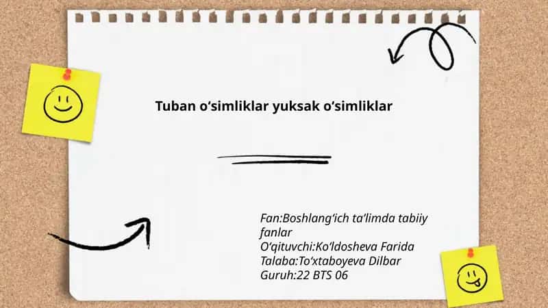 Tuban oʻsimliklar yuksak oʻsimliklar
