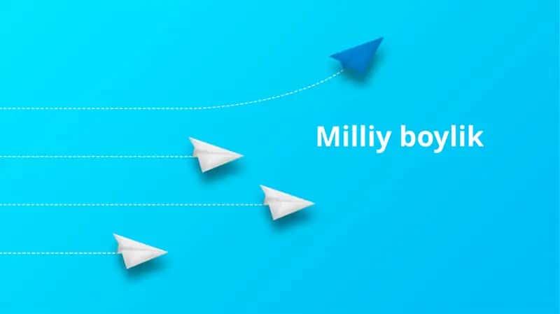 Milliyboylik